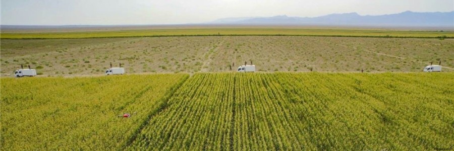 植保無人機如何突圍傳統(tǒng)農(nóng)業(yè)